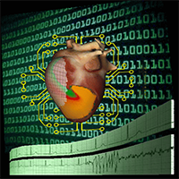 Diagnosing the heart (Courtesy of Flavio Fenton)