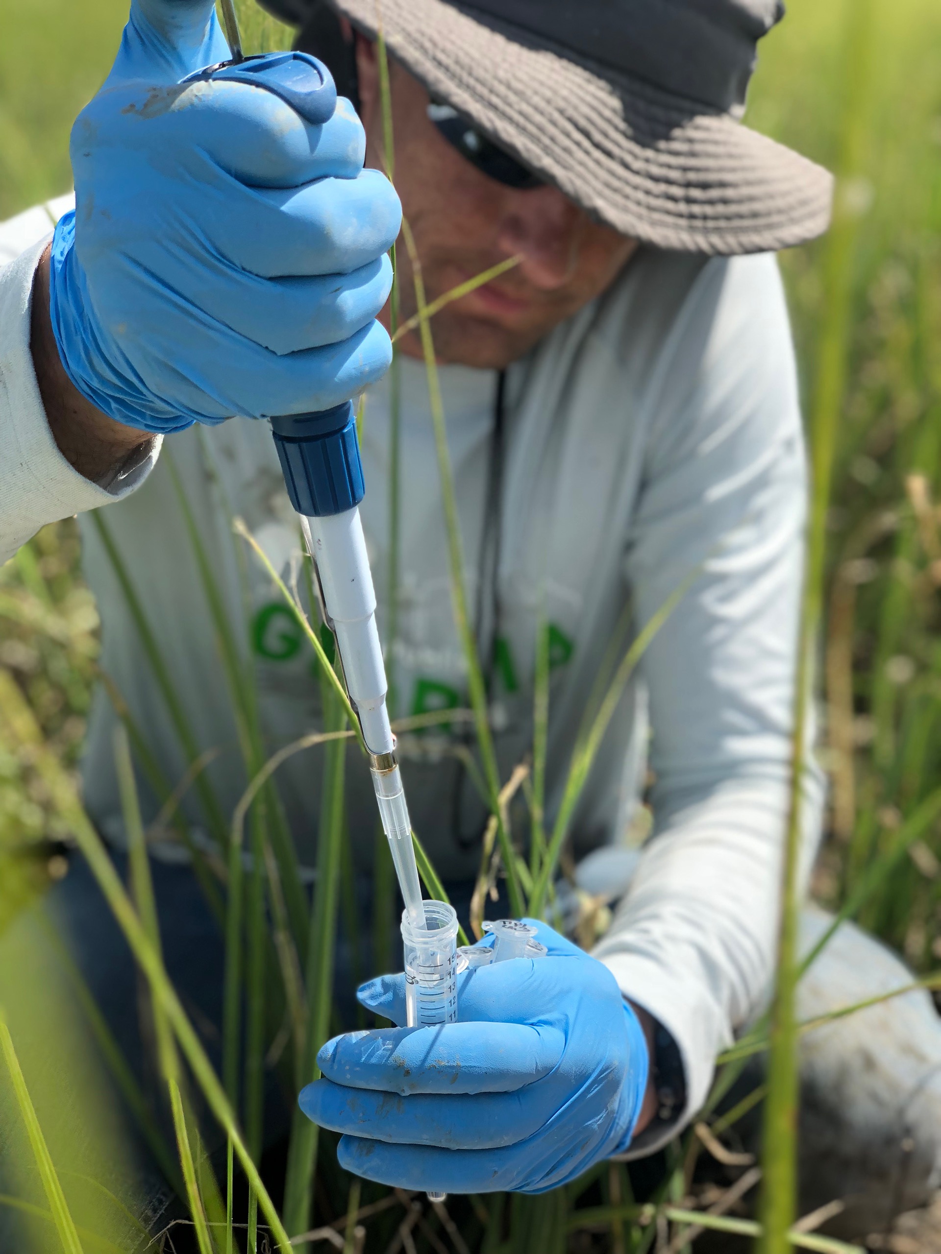 Research on the salt marsh of Sapelo Island, Georgia (Courtesy of UGA)