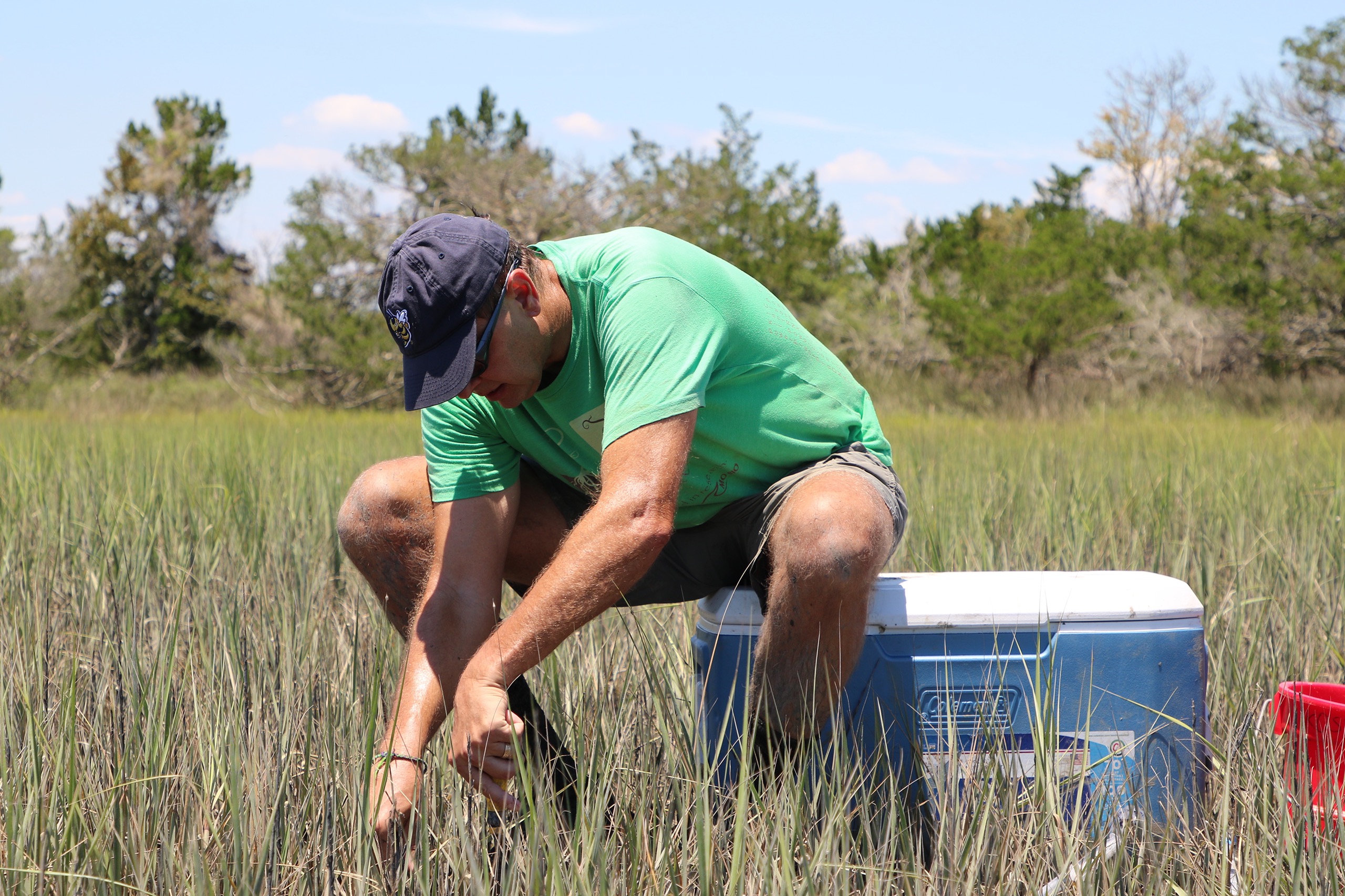 Research on the salt marsh of Sapelo Island, Georgia (Courtesy of UGA)