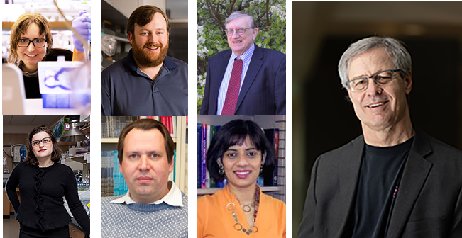 COOL principal investigators