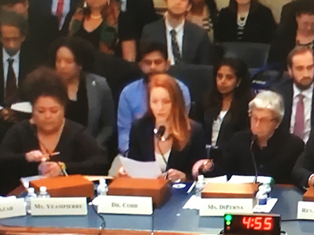 Kim Cobb before House Committee on Natural Resources on Feb. 6, 2019