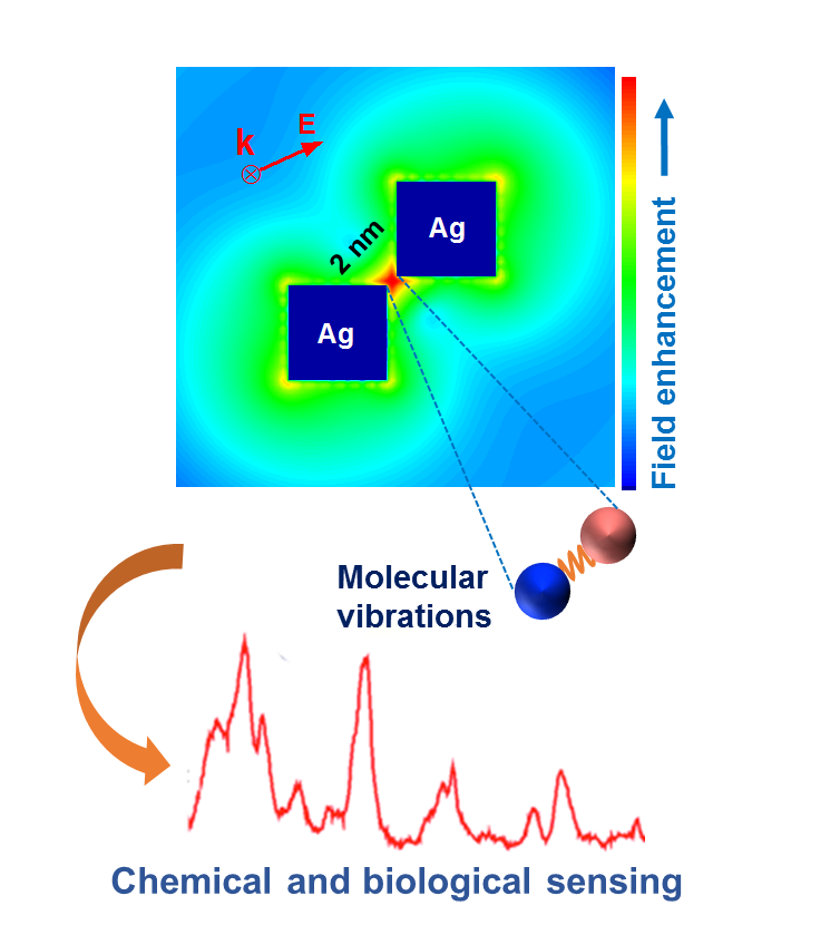 Light strongly localized around the corners of metallic nanoparticles can be used for ultrasensitive sensing. (Courtesy Nasrin Hooshmand) 