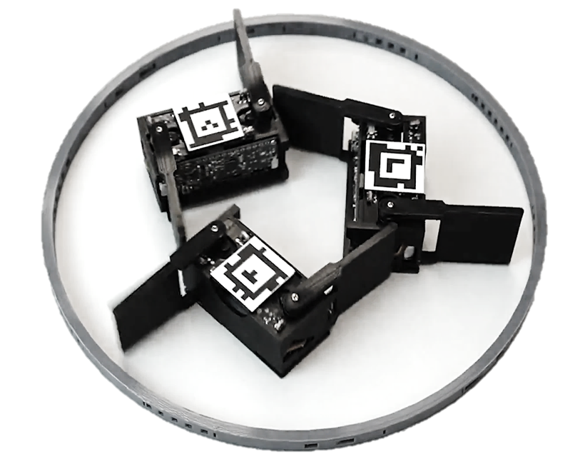 Swarm of smarticles
