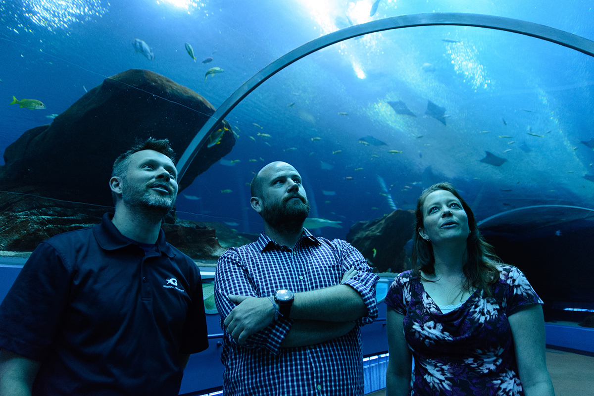 Aquarium