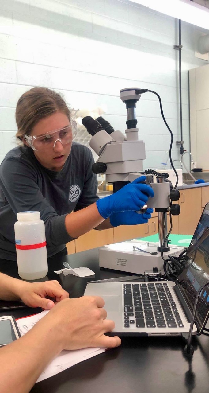 Through her research, Elbon hopes to 