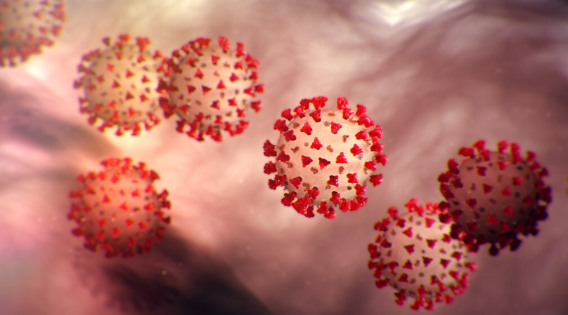 Coronavirus Disease 2019 (COVID-19). Source: cdc.gov