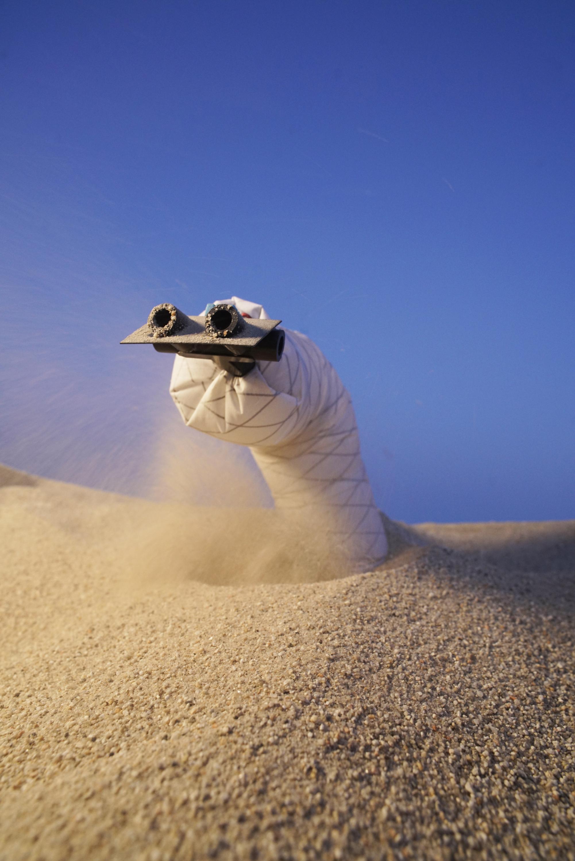 Researchers have developed a fast, steerable, burrowing soft robot (Photo: UC Santa Barbara)