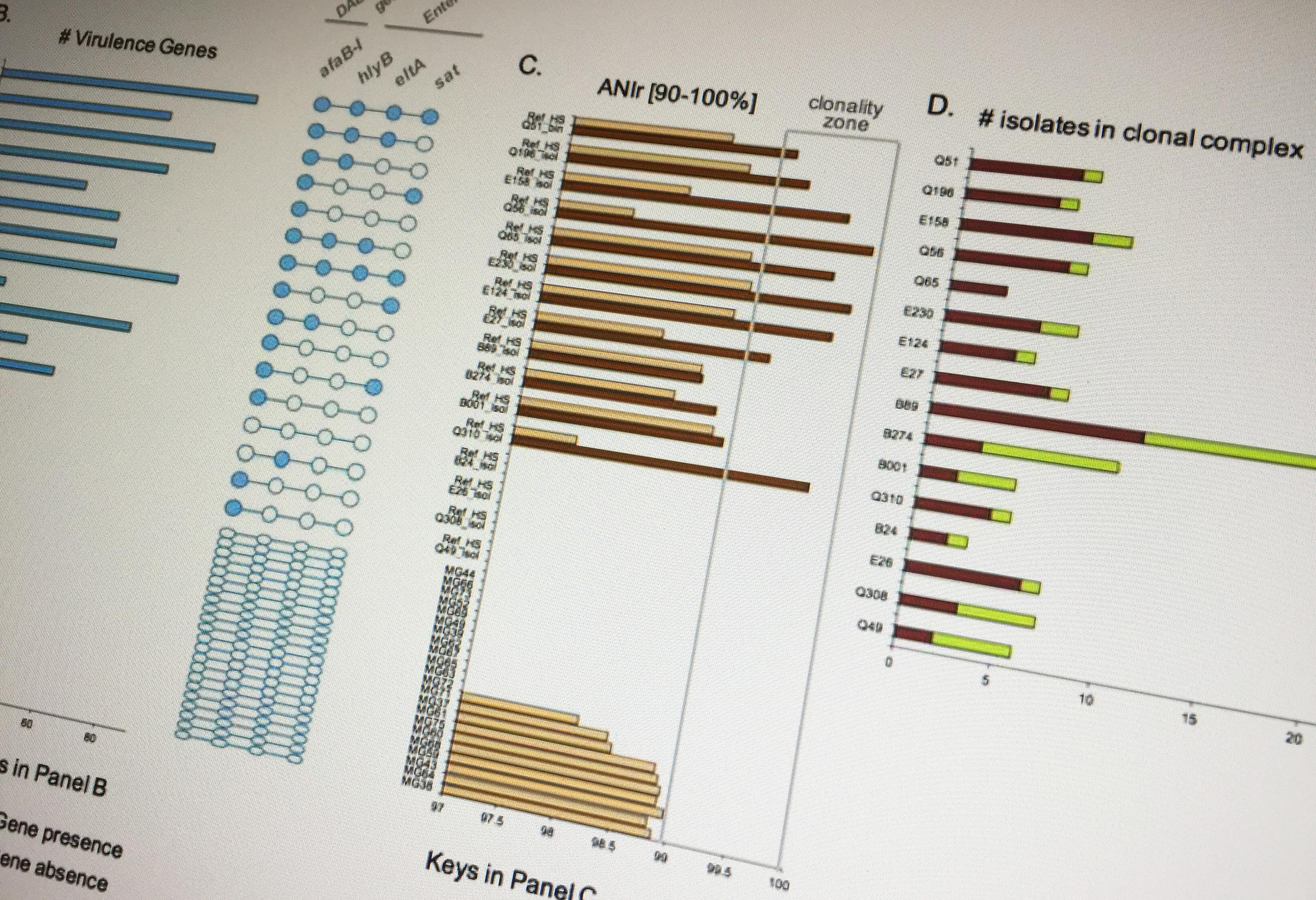 Chart of E. coli infections
