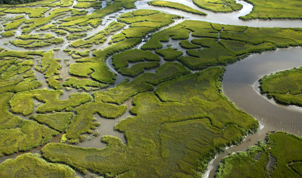 Photo: Georgia Climate Project