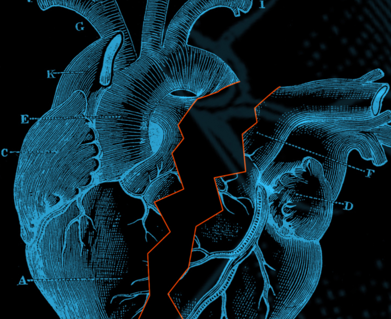 Heart illustration by Harriss Callahan and Monet Fort