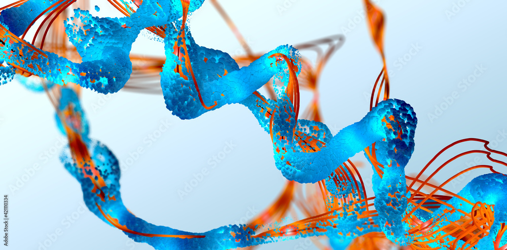 Amino Acids