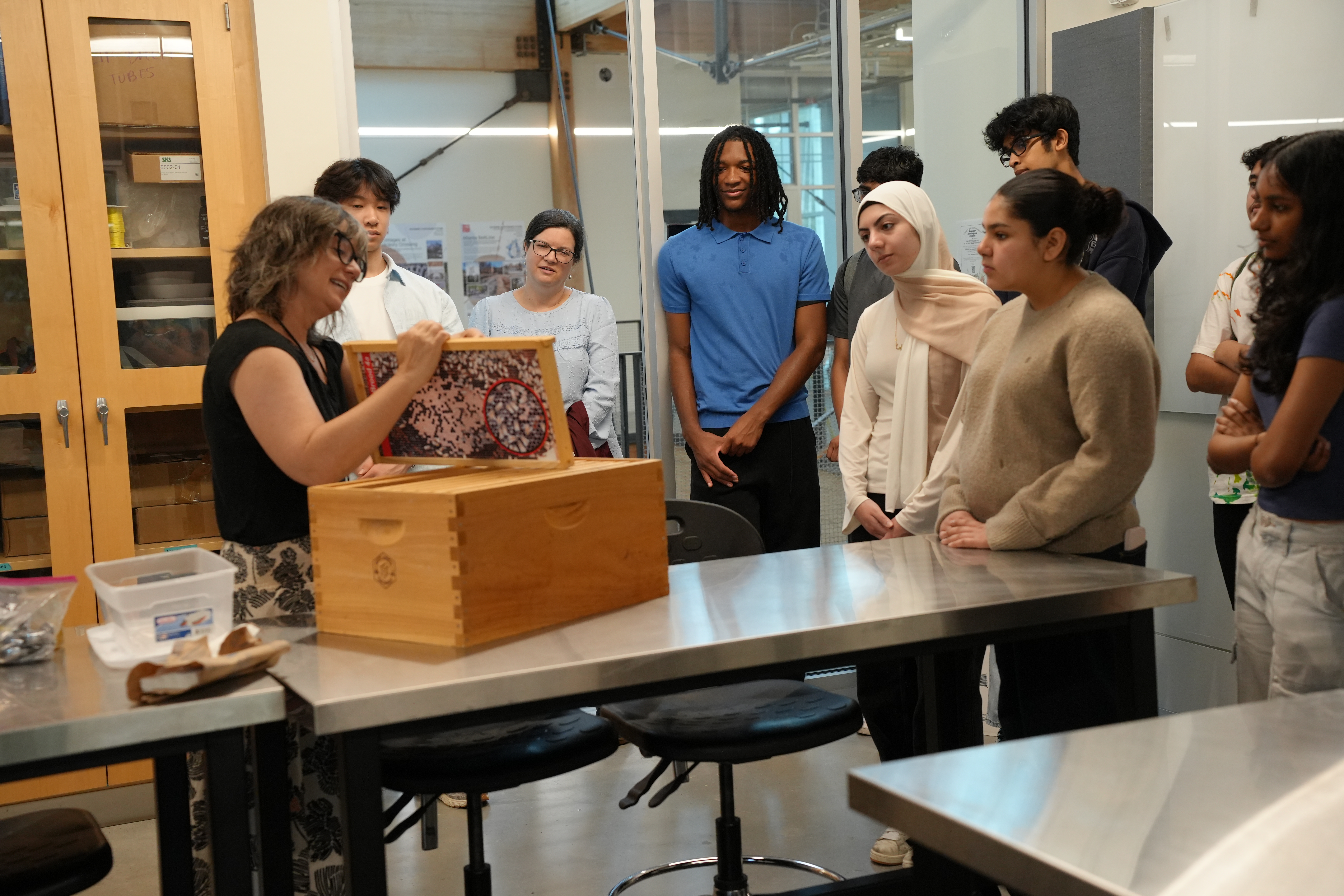 Lambert iGEM students and Leavey discuss different ideas to treat the mites that often spread deformed wing virus without harming the hive..