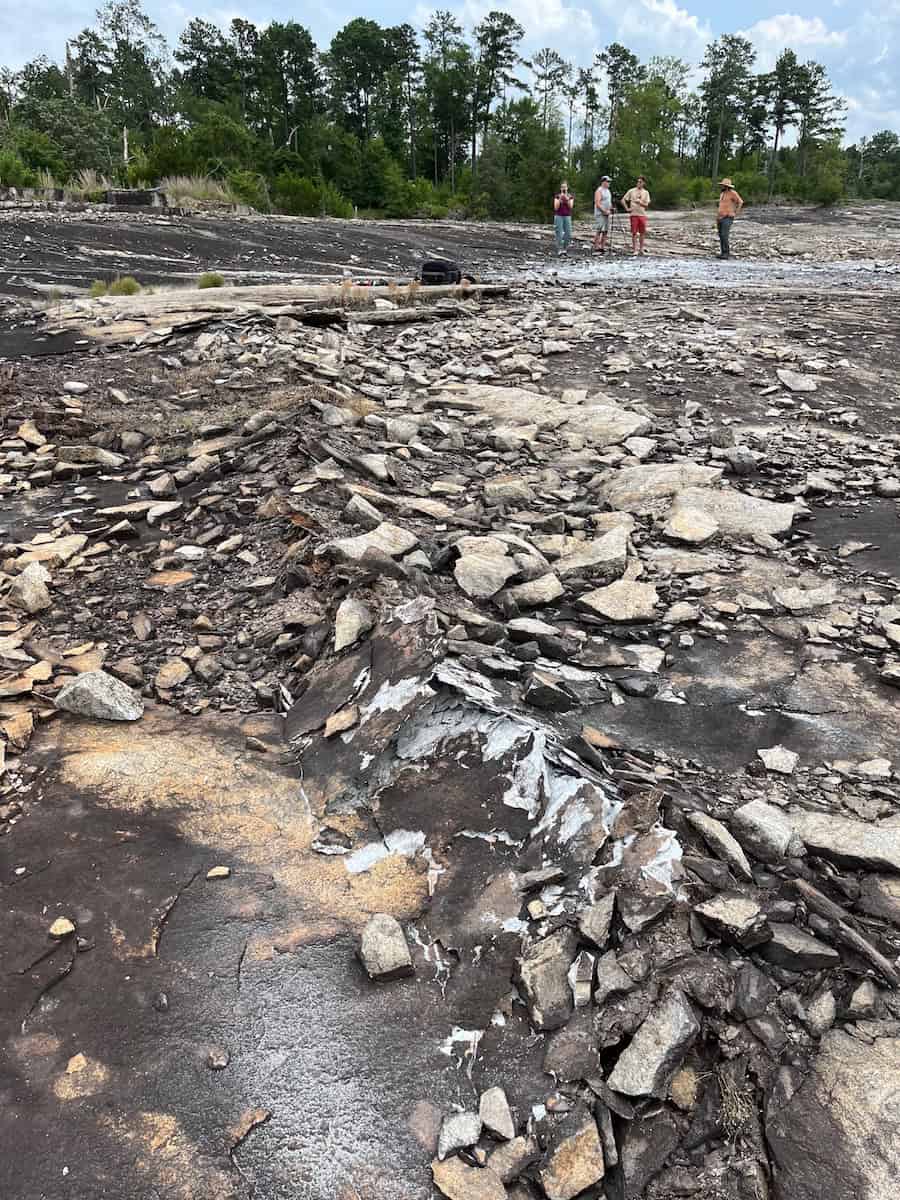Fresh fault outcrop (Arabia Mountain National Heritage Area)