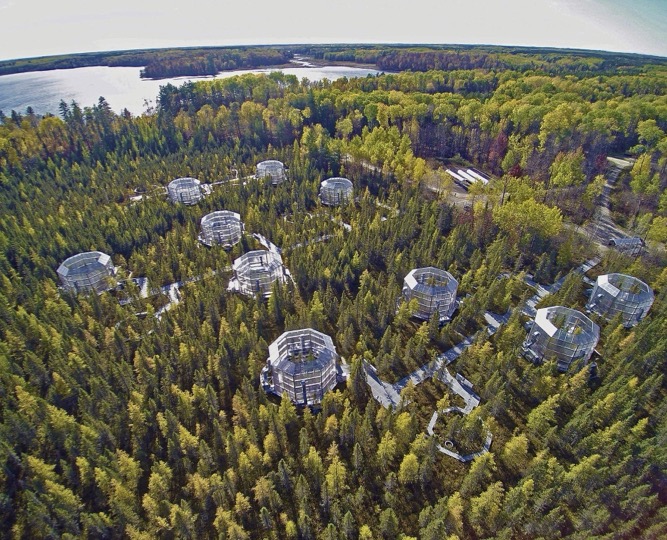 An aerial photo of the SPRUCE experiment.