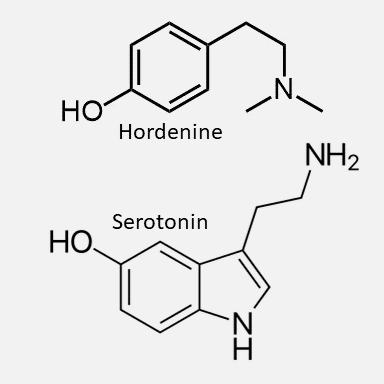 These compounds make colon cells move