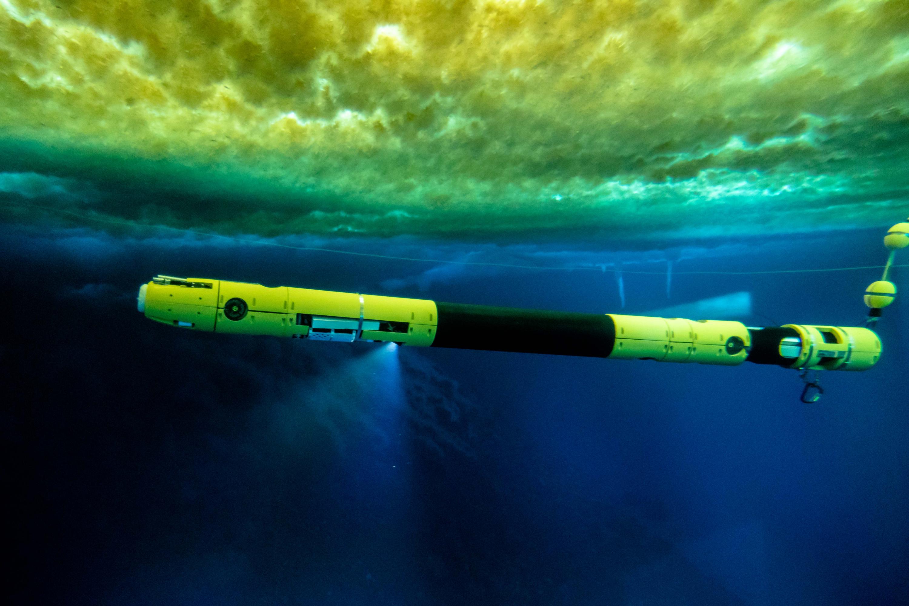 Icefin Diving