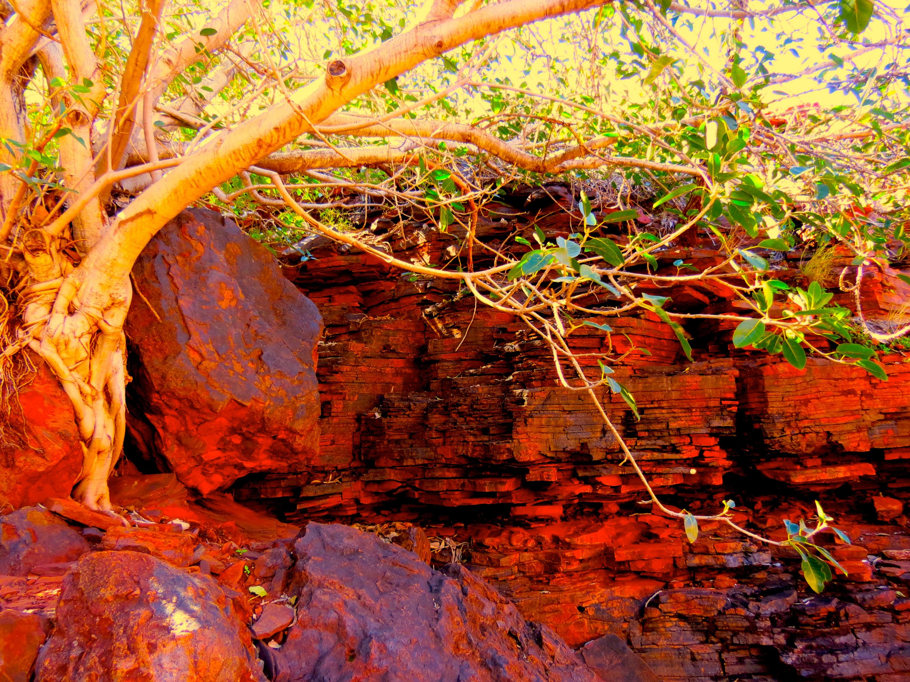 Raised sea floor banded iron formations