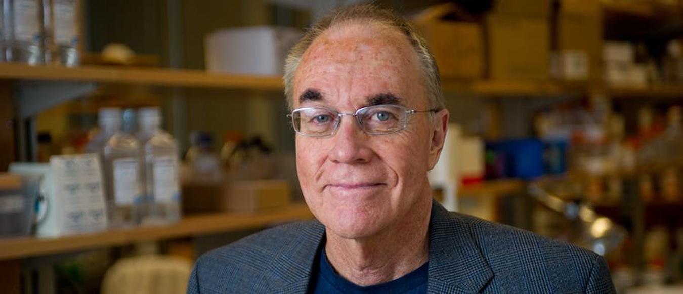 John McDonald, professor in the School of Biological Sciences and director of the Integrated Cancer Research Center. 