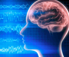 Memory and Aging 