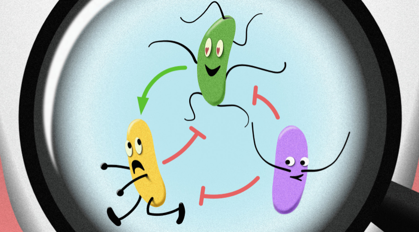 The hidden social network of microbes