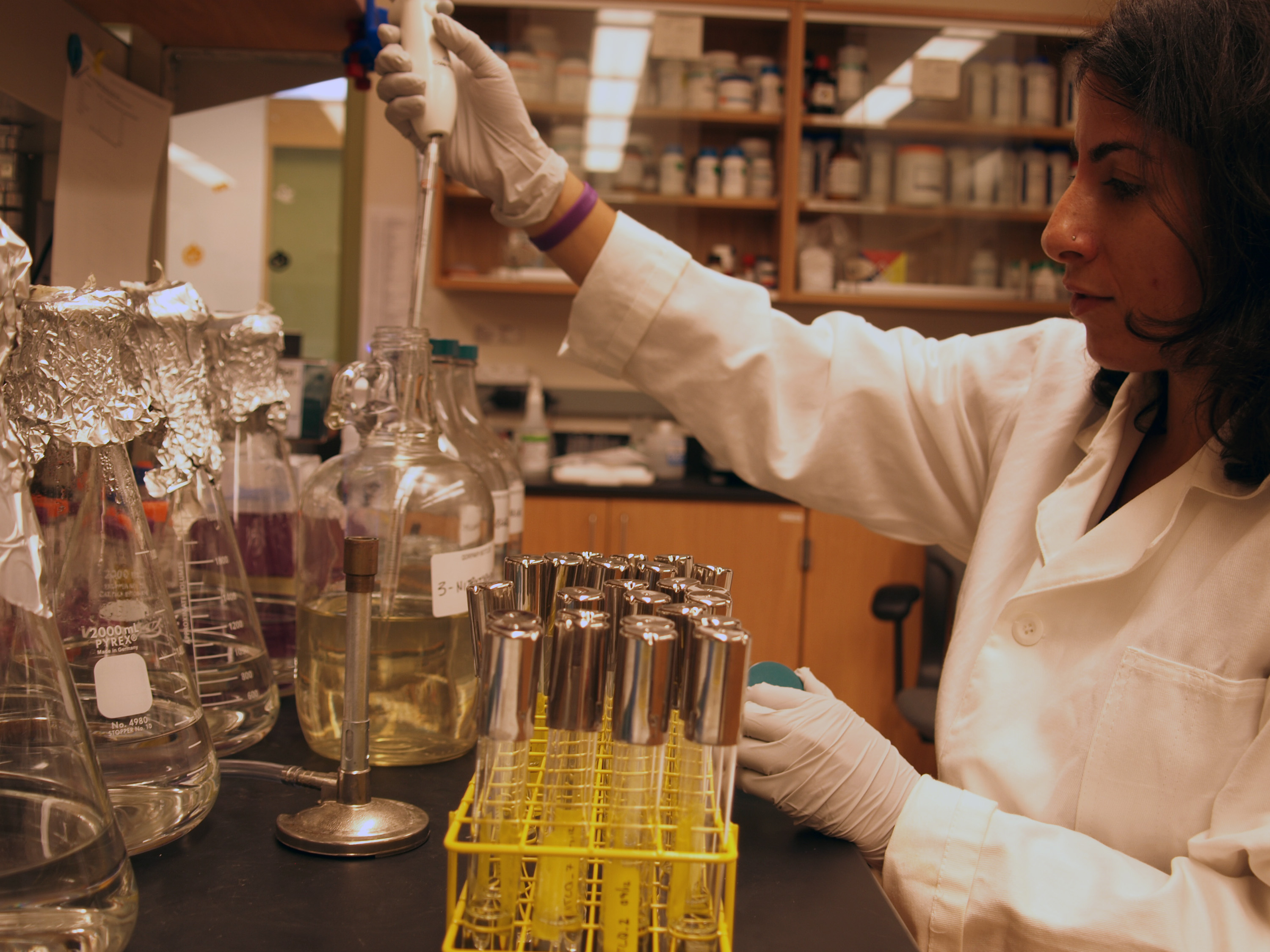 Studying Microbial Diversity