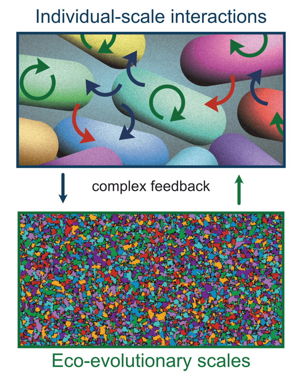 Interactions within a microbial community are complex, and defining each of them is not trivial.