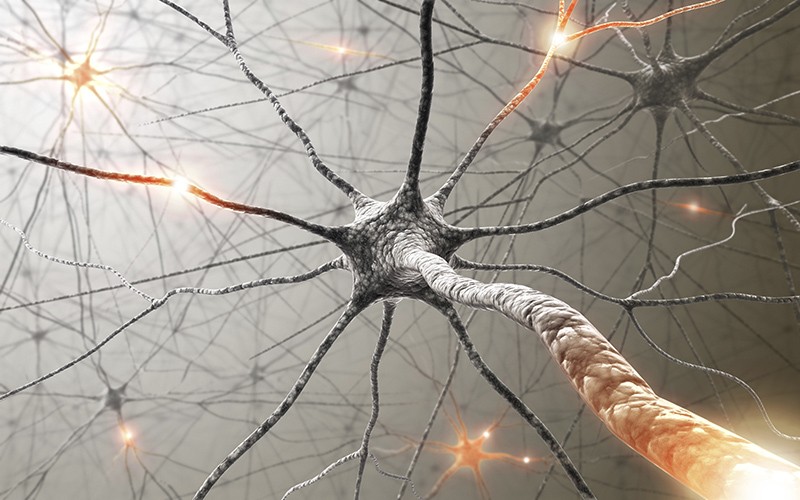 With new research published in PNAS, researchers show that 