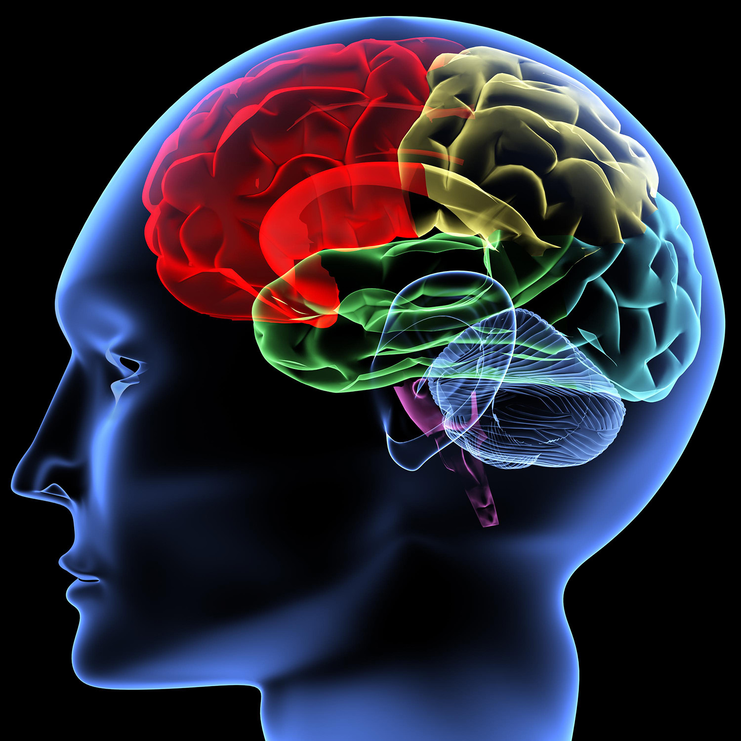Neuroscience at Georgia Tech