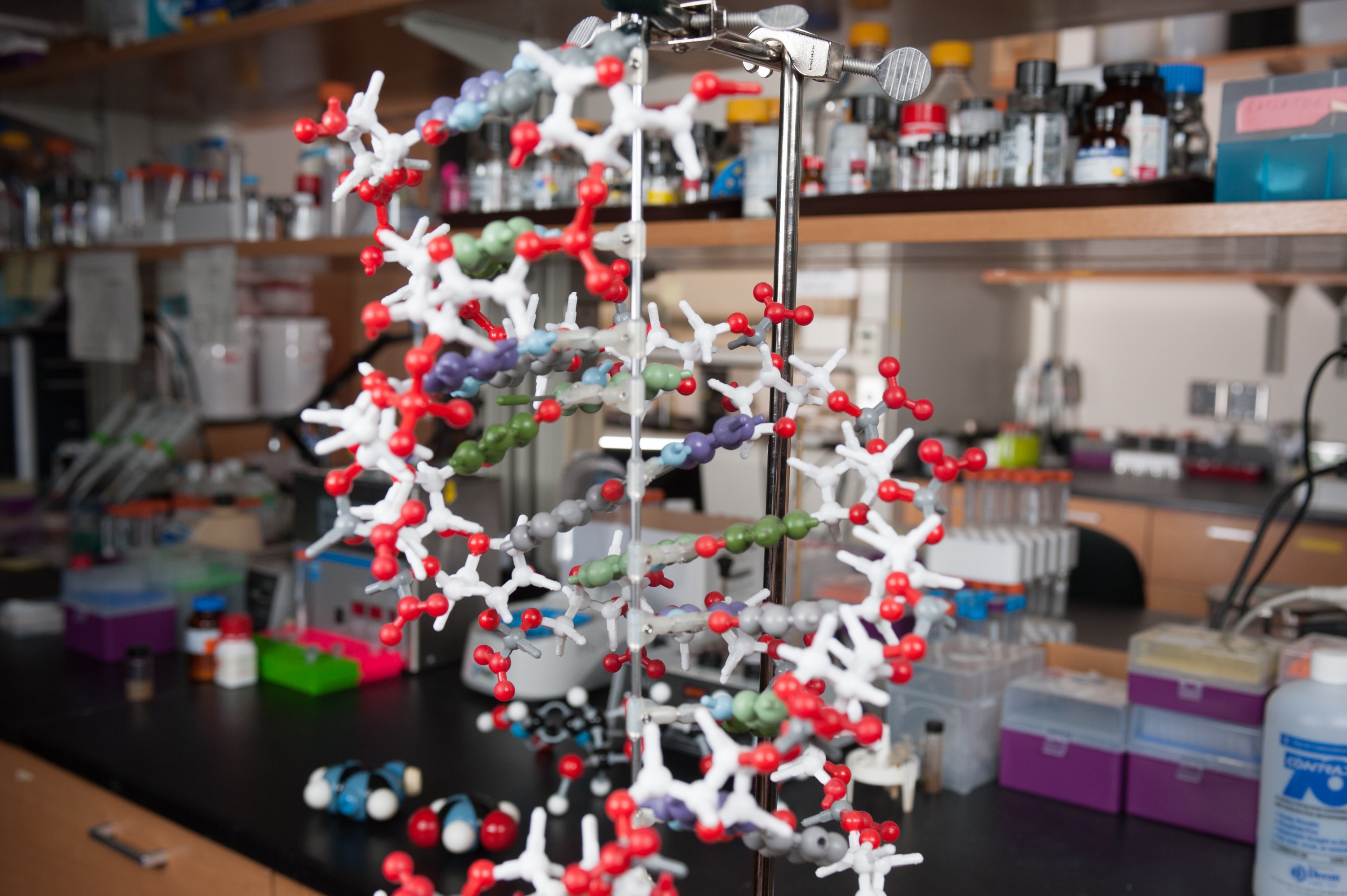 Hud proto-nucleotides assemblage