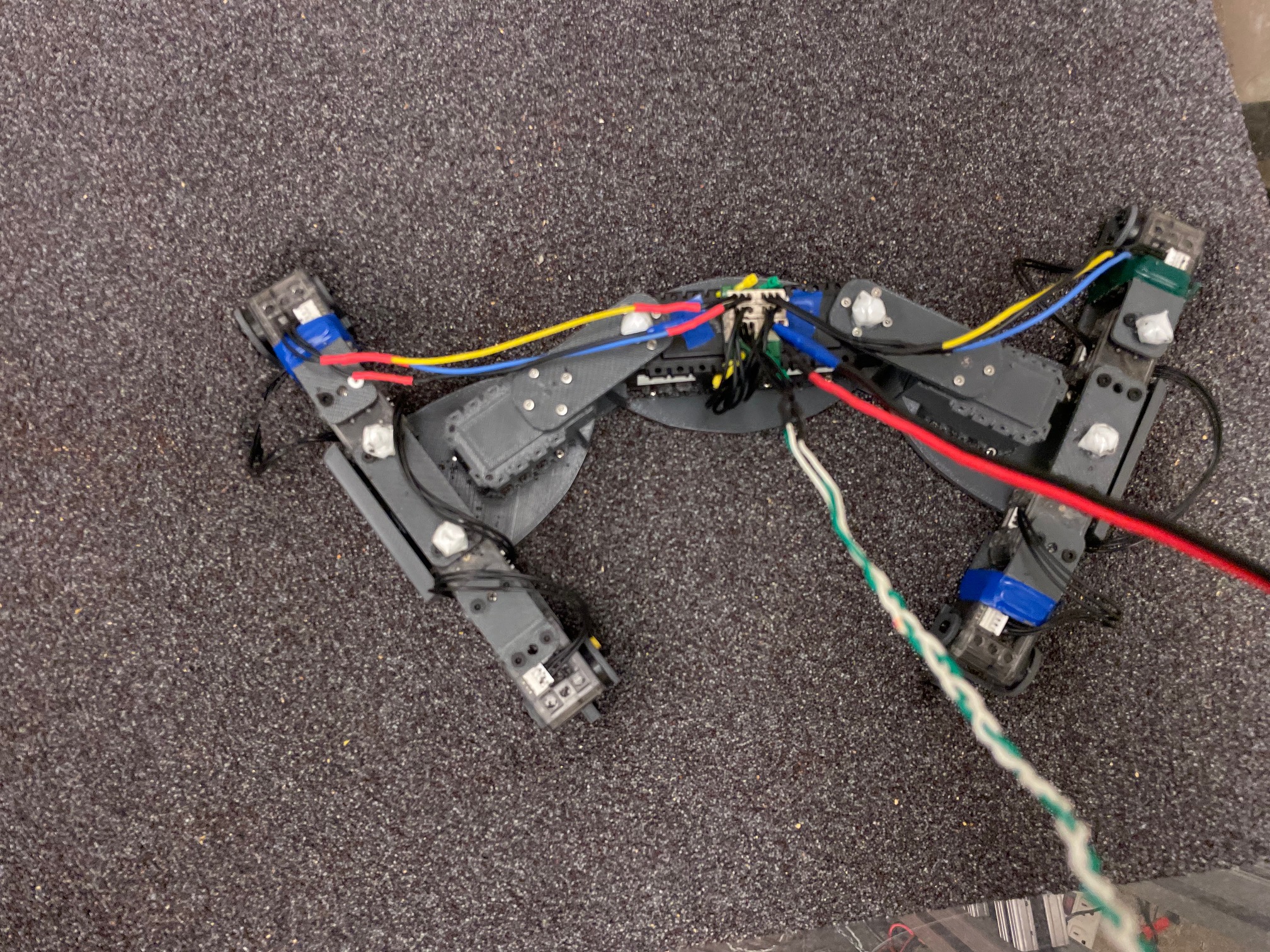 Lizard robot robot