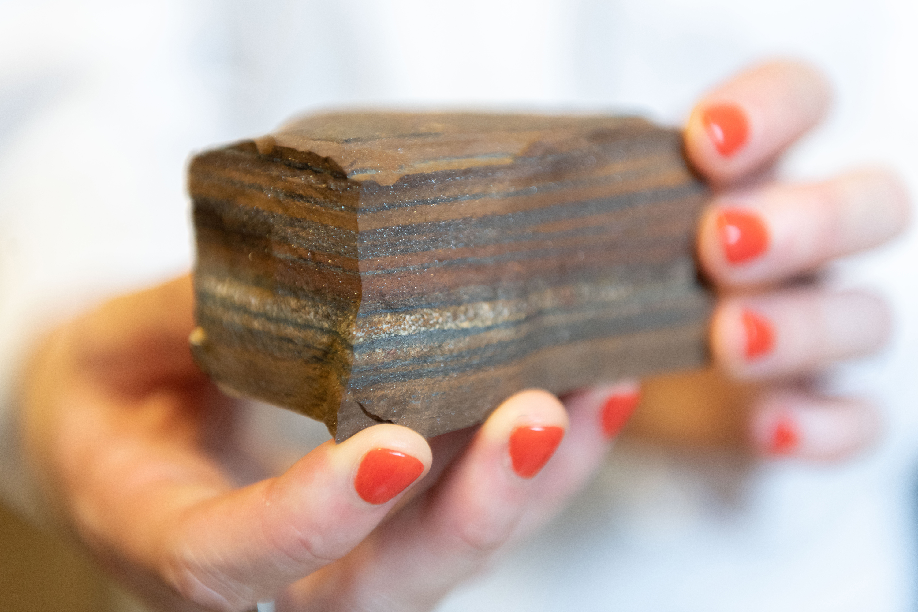 Tiger eye BIF rock