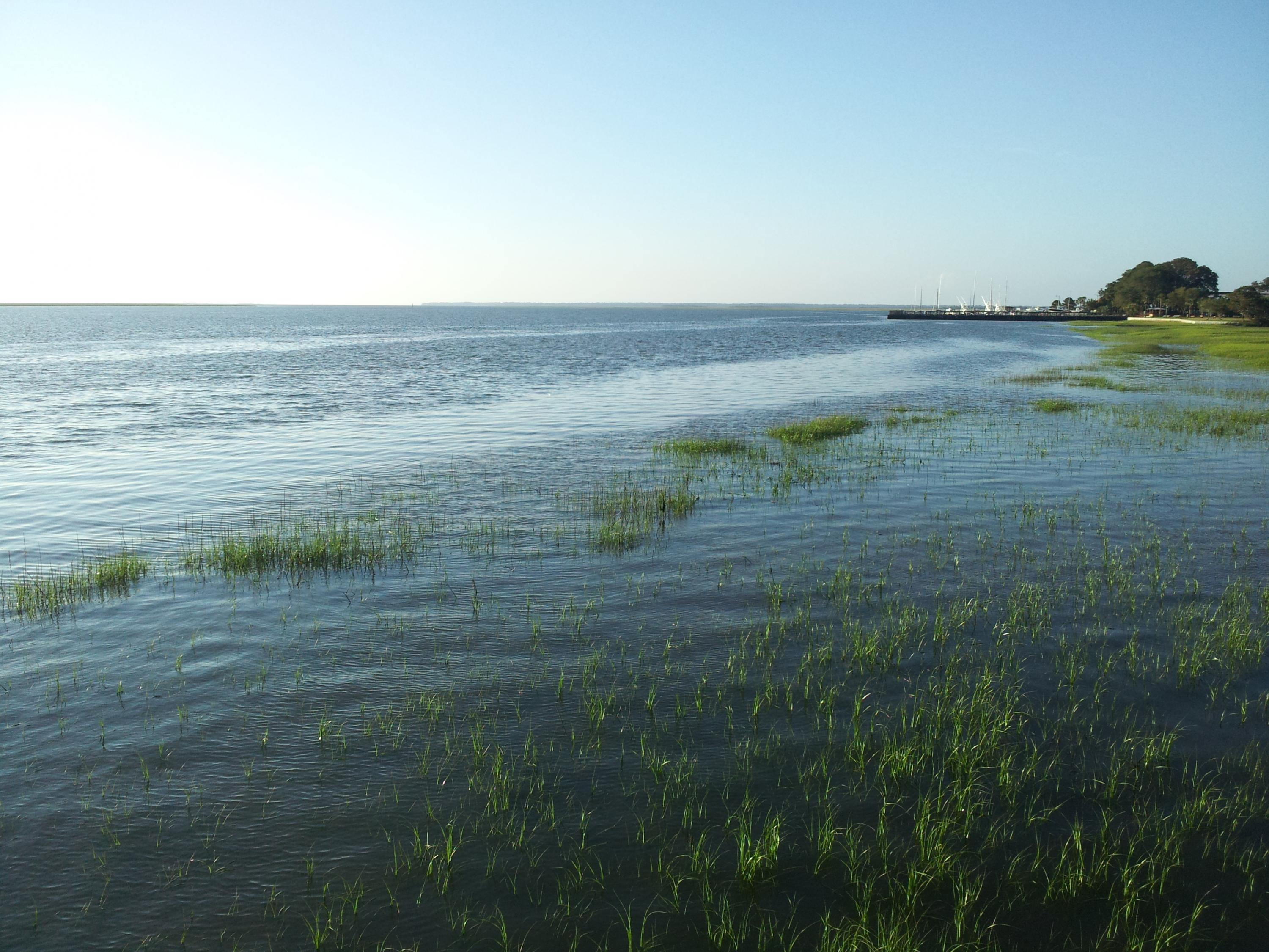 Georgia Skidaway Island