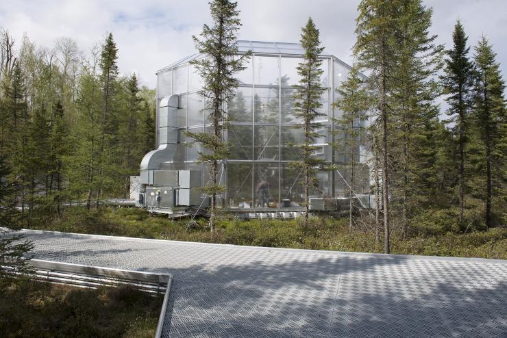 A research enclosure at the SPRUCE facility in northern Minnesota. 