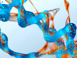 Amino Acids