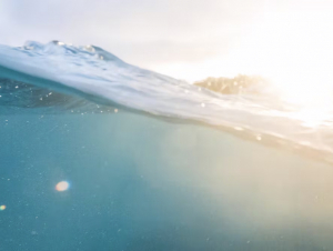  The global ocean’s surface temperature was still well above average going into 2025. Meaghan Skinner Photography/Moment via Getty Images