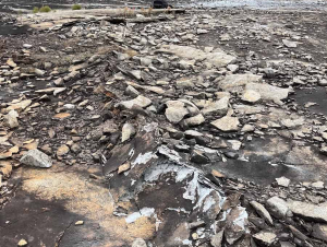 Fresh fault outcrop (Arabia Mountain National Heritage Area)
