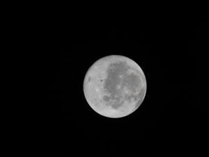 moon.jpg