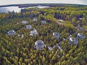 An aerial photo of the SPRUCE experiment. An aerial photo of the SPRUCE experiment.