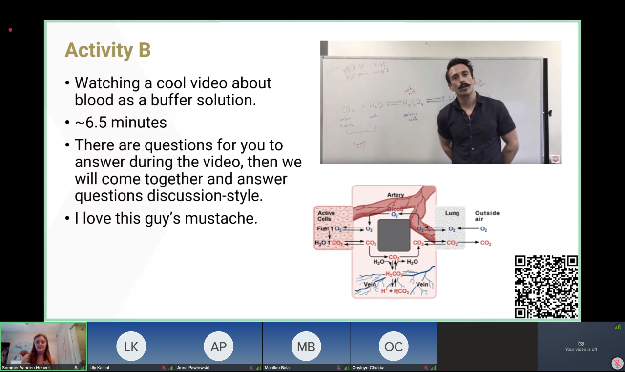 Remote lab sessions meet synchronously to complete laboratory simulations and interact with other students.