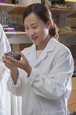 Brook Byers Institute for Sustainable Systems Faculty Fellow Yuanzhi Tang