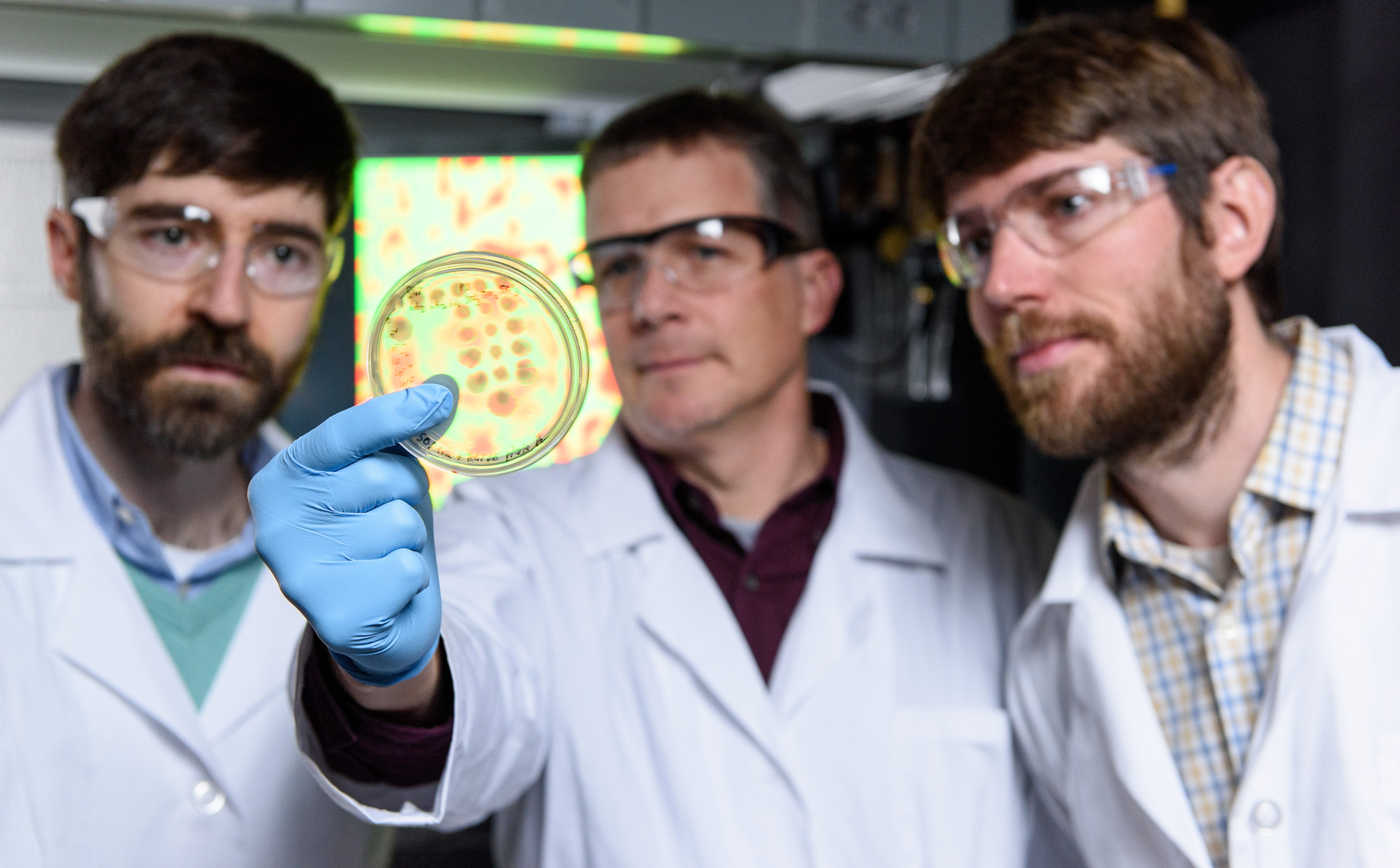 College of Sciences researchers examine cholera cultures